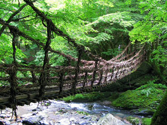 祖谷溪蔓藤橋