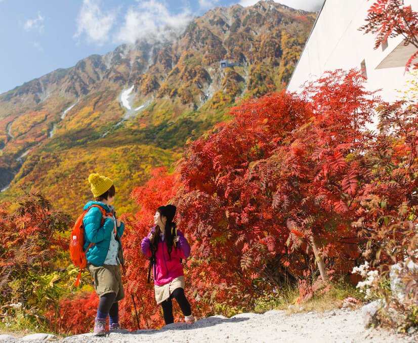 立山黑部秋天