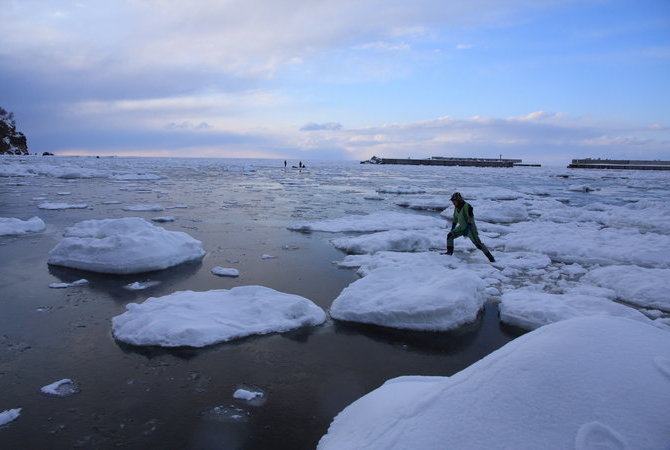 北海道知床流冰漫步