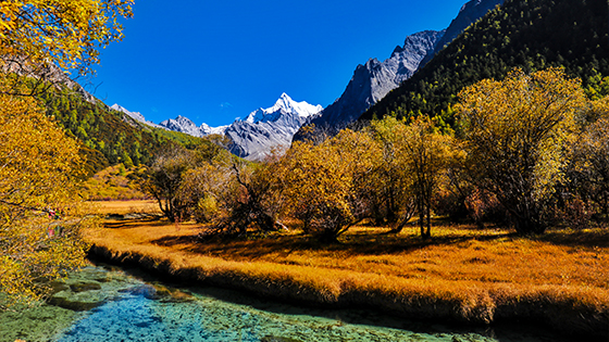 稻城亞丁旅遊秋景