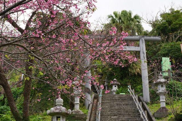 名護中央公園