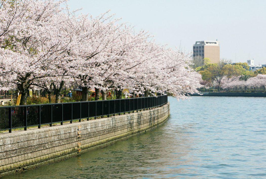 毛馬櫻之宮公園