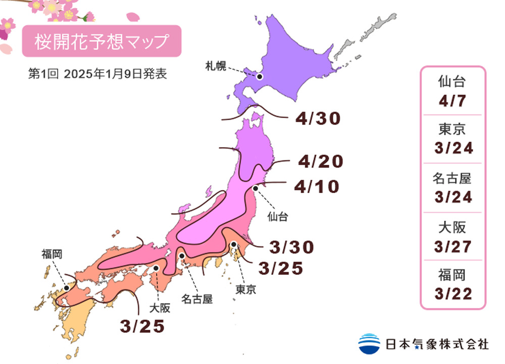 2025年櫻花預報