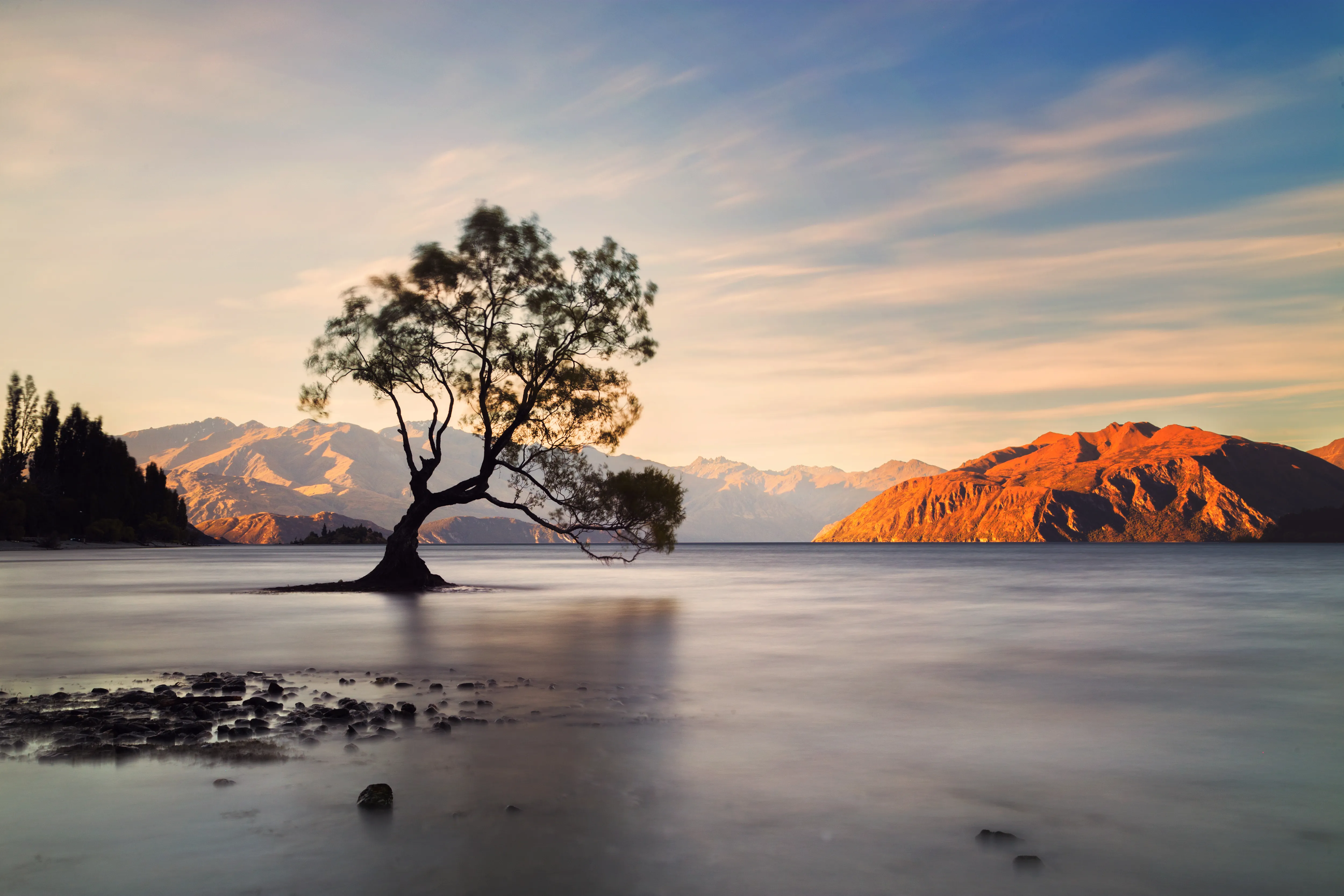 最強IG打卡WANAKA TREE