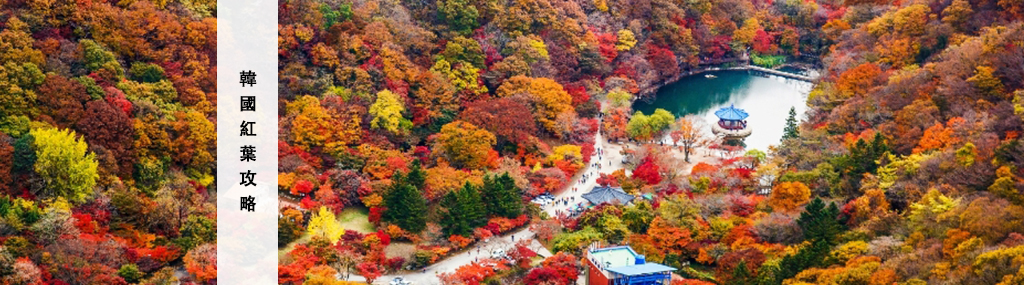 【2026韓國紅葉預測】首爾、釜山紅葉時間預測、熱門賞楓景點與行程推薦